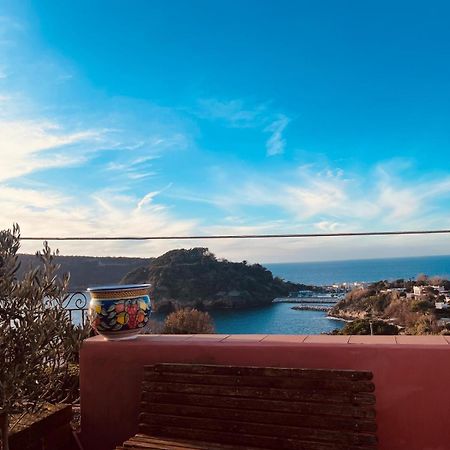 Sole Chiaro Home Procida Eksteriør bilde
