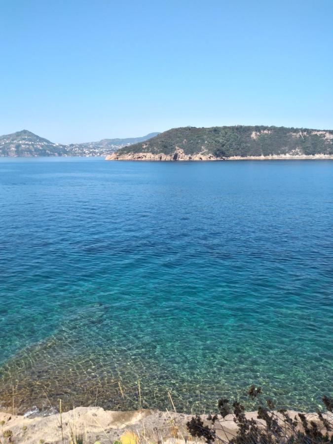 Sole Chiaro Home Procida Eksteriør bilde